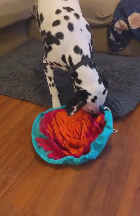 SniffQuest™ Enrichment Snuffle Mat